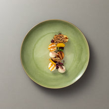 Load image into Gallery viewer, Costa Nova Riviera 9" Vert Frais Salad/Dessert Plate Set