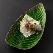 Load image into Gallery viewer, Costa Nova Riviera 16" Tomate Strelizia Leaf