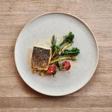 Load image into Gallery viewer, Casa Alegre Sandstorm Small Dinner Plate, Set of 4