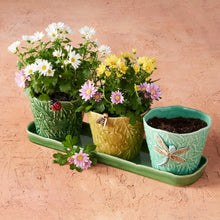 Load image into Gallery viewer, Bordallo Pinheiro Garden of Insects Flying Insect Vases, Set of 3