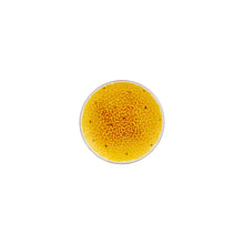 Load image into Gallery viewer, Bordallo Pinheiro Tropical Fruits Passion Fruit Dessert Plate, Set of 4