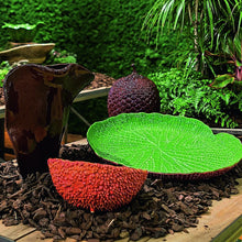 Load image into Gallery viewer, Bordallo Pinheiro Amazonia Salad Bowl