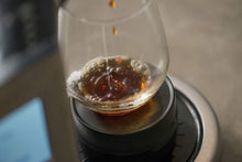 Load image into Gallery viewer, Breville BDC400BSS Precision Brewer Glass, Coffee Maker, Brushed Stainless Steel