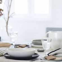 Load image into Gallery viewer, Casafina Pacifica 11&quot; Seed Grey Dinner Plate Set
