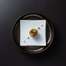 Load image into Gallery viewer, Costa Nova Resonance White Square Appetizer Plate Set
