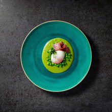 Load image into Gallery viewer, Costa Nova Riviera 11&quot; Azur Dinner Plate Set
