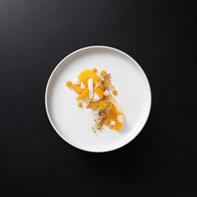 Load image into Gallery viewer, Casafina Pacifica 9&quot; Salt Salad/Dessert Plate Set
