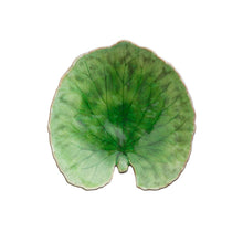 Load image into Gallery viewer, Costa Nova Riviera 7&quot; Tomate Alchemille Leaf Set
