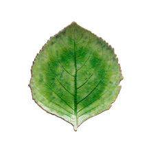 Load image into Gallery viewer, Costa Nova Riviera 9&quot; Tomate Hydrangea Leaf Set
