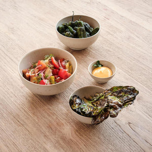 Casa Alegre Sandstorm Coupe Soup Plate/Bowl, Set of 4