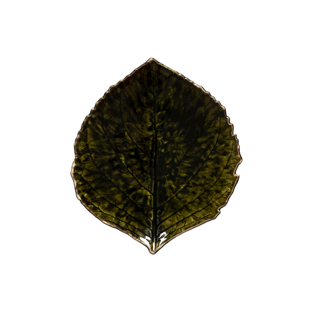 Costa Nova Riviera 7