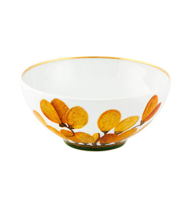 Vista Alegre Amazonia 4 Piece Dinnerware Set