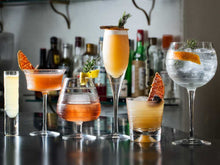 Load image into Gallery viewer, Vista Alegre Crystal Vinyl Martini
