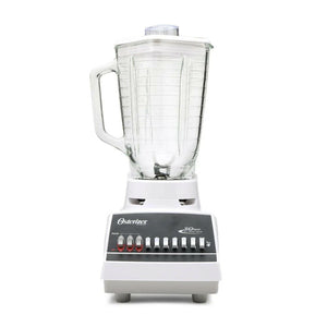 Oster 4172-051 10-Speed Blender 220-240 Volts Export Only, Not for USA