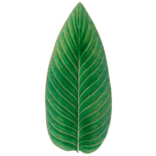 Load image into Gallery viewer, Costa Nova Riviera 16&quot; Tomate Strelizia Leaf
