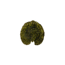 Load image into Gallery viewer, Costa Nova Riviera 7&quot; Forêts Alchemille Leaf Set
